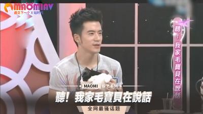 听！我家毛宝贝在说话.
